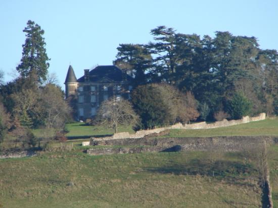 Le château du Pin