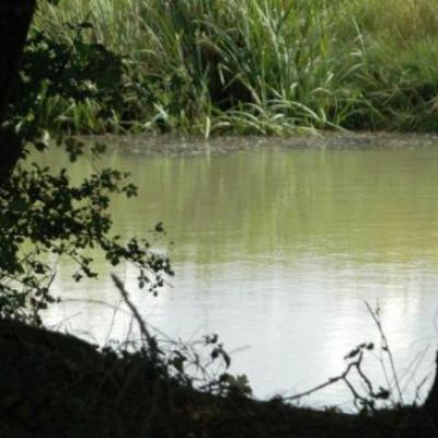 Marre du Plan de la Naide
