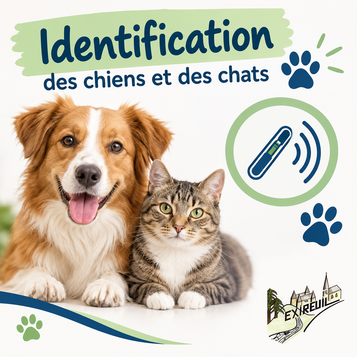 Exireuil identification
